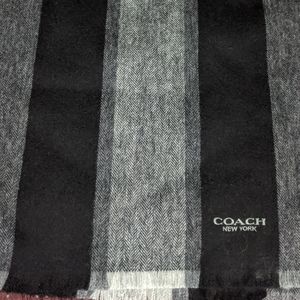 Coach Varsity Stripe Scarf